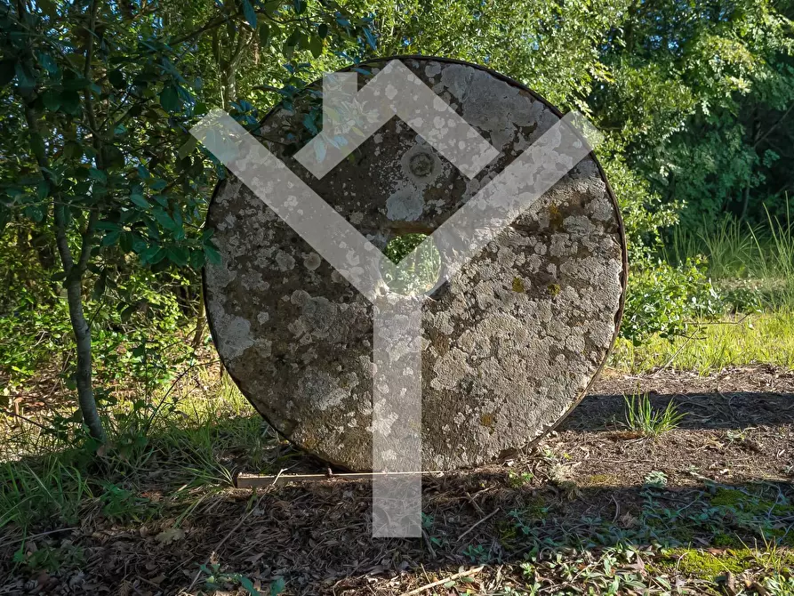 Immagine 56 di Villa in vendita  in Toraccia di Chiusi a San Gimignano