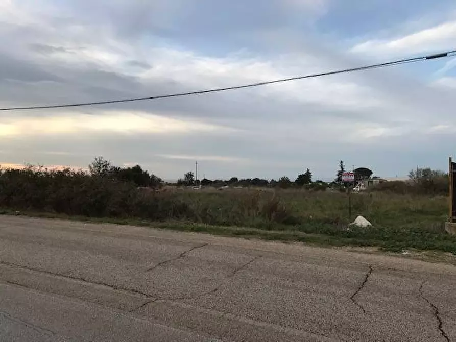 Immagine 3 di Terreno agricolo in vendita  in Contrada Pilarossa snc a Sannicandro Garganico