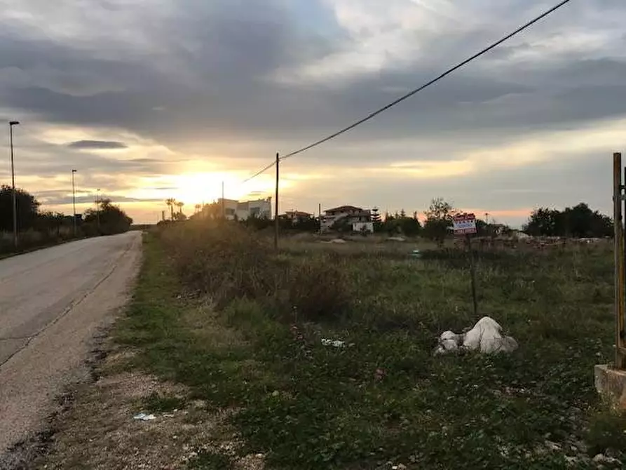 Immagine 2 di Terreno agricolo in vendita  in Contrada Pilarossa snc a Sannicandro Garganico