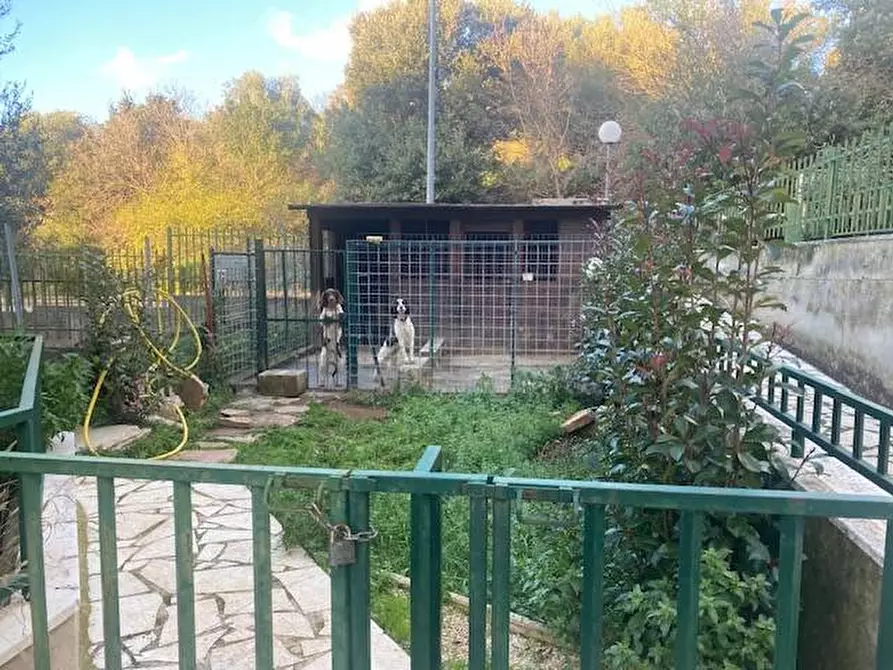 Immagine 27 di Appartamento in vendita  in Via Dei Maceristi 7 a Sannicandro Garganico