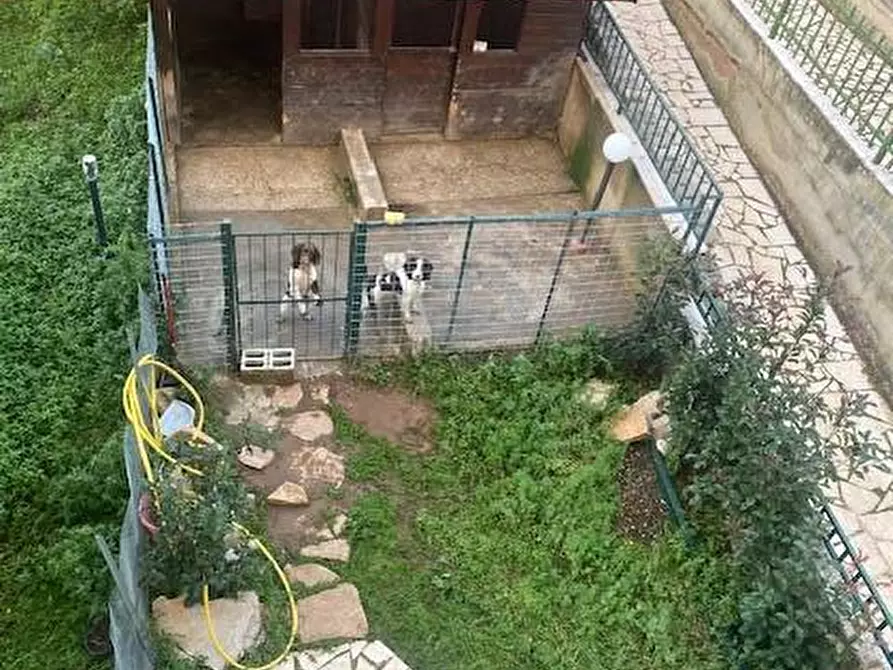 Immagine 28 di Appartamento in vendita  in Via Dei Maceristi 7 a Sannicandro Garganico