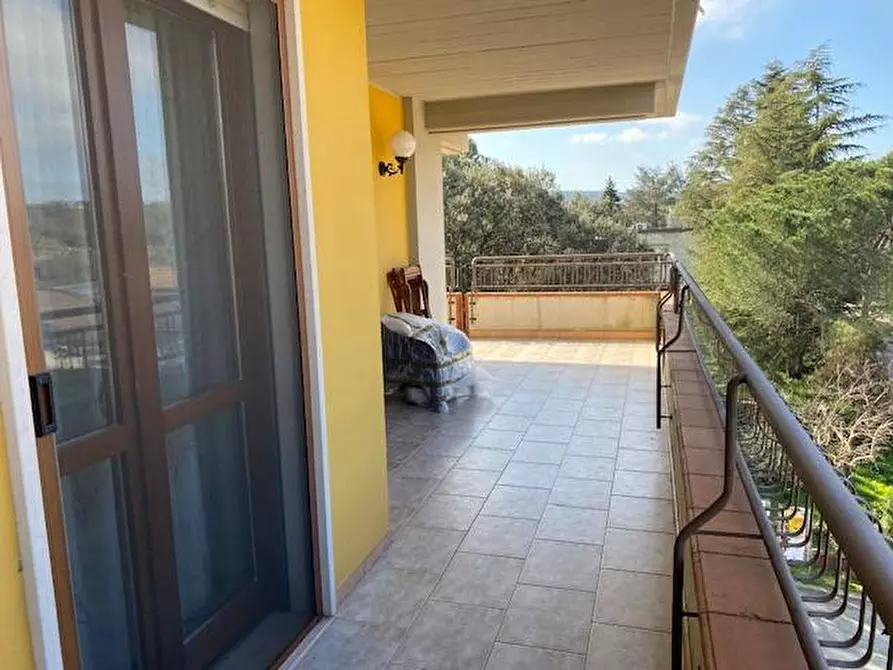 Immagine 26 di Appartamento in vendita  in Via Madonna di Fatima 1/A a Sannicandro Garganico