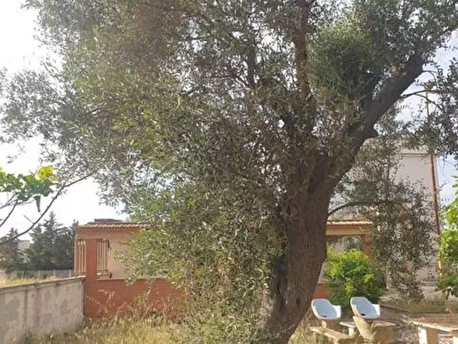 Immagine 13 di Villa in vendita  in Contrada Palmieri snc a Sannicandro Garganico