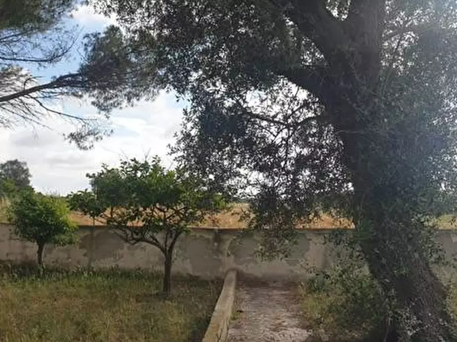Immagine 12 di Villa in vendita  in Contrada Palmieri snc a Sannicandro Garganico