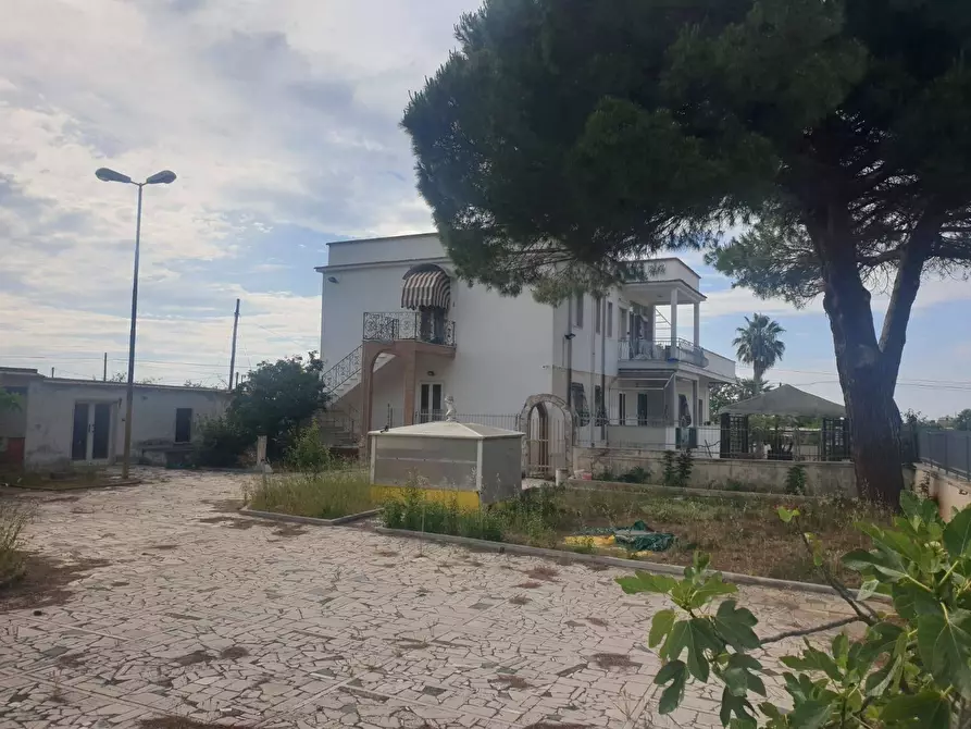 Immagine 2 di Villa in vendita  in Contrada Palmieri snc a Sannicandro Garganico