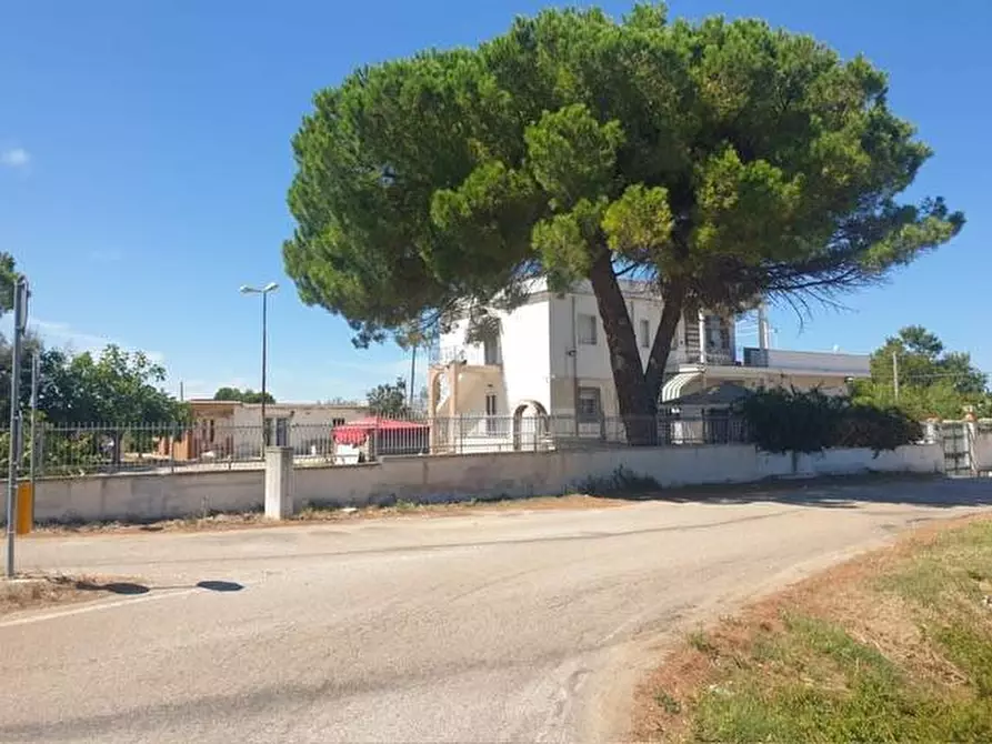 Immagine 4 di Villa in vendita  in Contrada Palmieri snc a Sannicandro Garganico