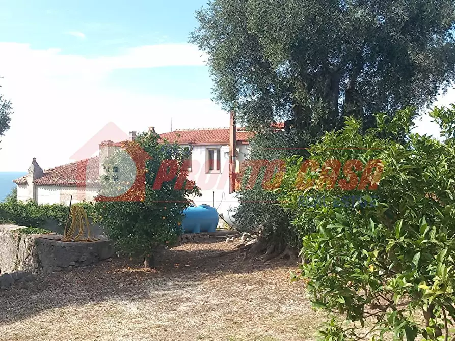 Immagine 7 di Palazzo in vendita  in Loc. FORMITELLE 1 a Vico Del Gargano