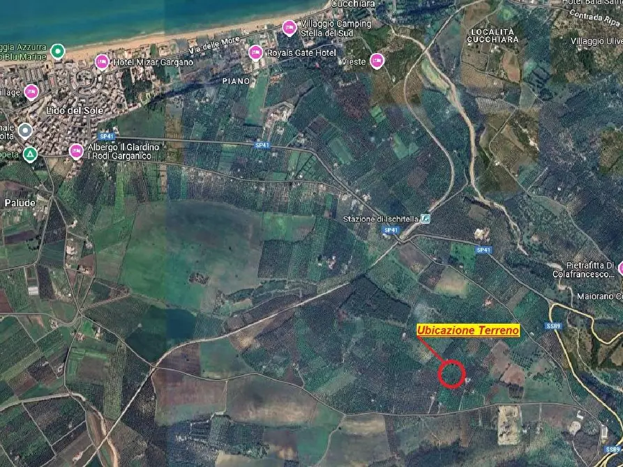 Immagine 2 di Terreno agricolo in vendita  in Contrada PIANO d'ERCOLE snc a Cagnano Varano