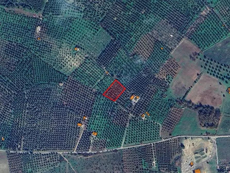 Immagine 3 di Terreno agricolo in vendita  in Contrada PIANO d'ERCOLE snc a Cagnano Varano