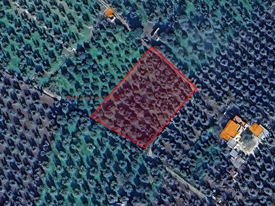 Immagine 15 di Terreno agricolo in vendita  in Contrada PIANO d'ERCOLE snc a Cagnano Varano