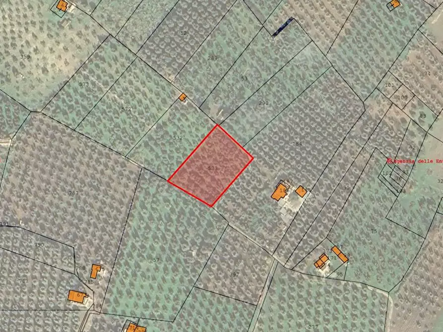 Immagine 16 di Terreno agricolo in vendita  in Contrada PIANO d'ERCOLE snc a Cagnano Varano