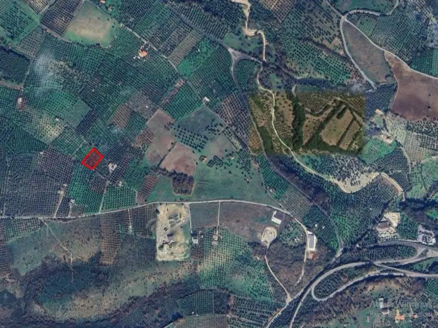 Immagine 17 di Terreno agricolo in vendita  in Contrada PIANO d'ERCOLE snc a Cagnano Varano