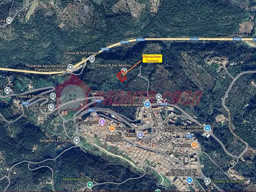 Immagine 2 di Terreno agricolo in vendita  in Contrada VALLONE DEI MULINI SNC a Cagnano Varano