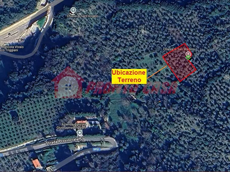 Immagine 3 di Terreno agricolo in vendita  in Contrada VALLONE DEI MULINI SNC a Cagnano Varano