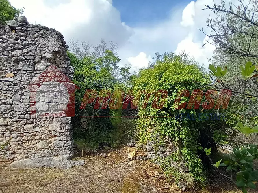 Immagine 10 di Terreno agricolo in vendita  in Contrada VALLONE DEI MULINI SNC a Cagnano Varano