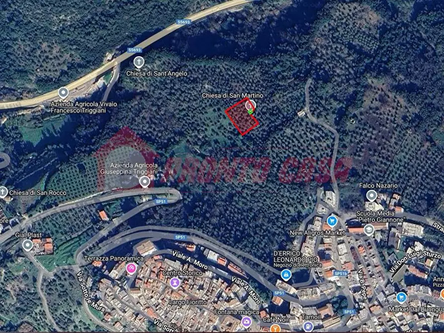 Immagine 18 di Terreno agricolo in vendita  in Contrada VALLONE DEI MULINI SNC a Cagnano Varano