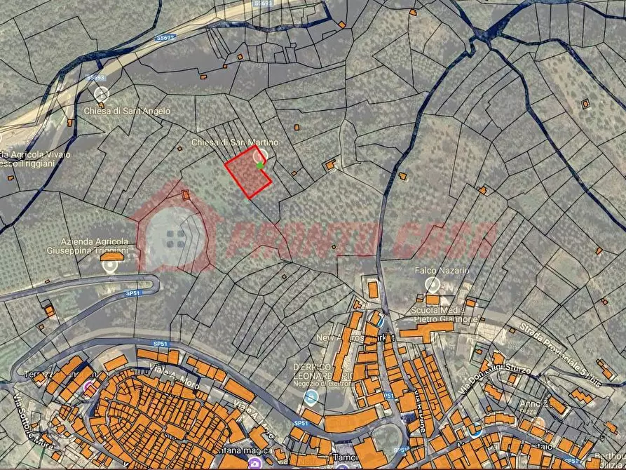 Immagine 19 di Terreno agricolo in vendita  in Contrada VALLONE DEI MULINI SNC a Cagnano Varano
