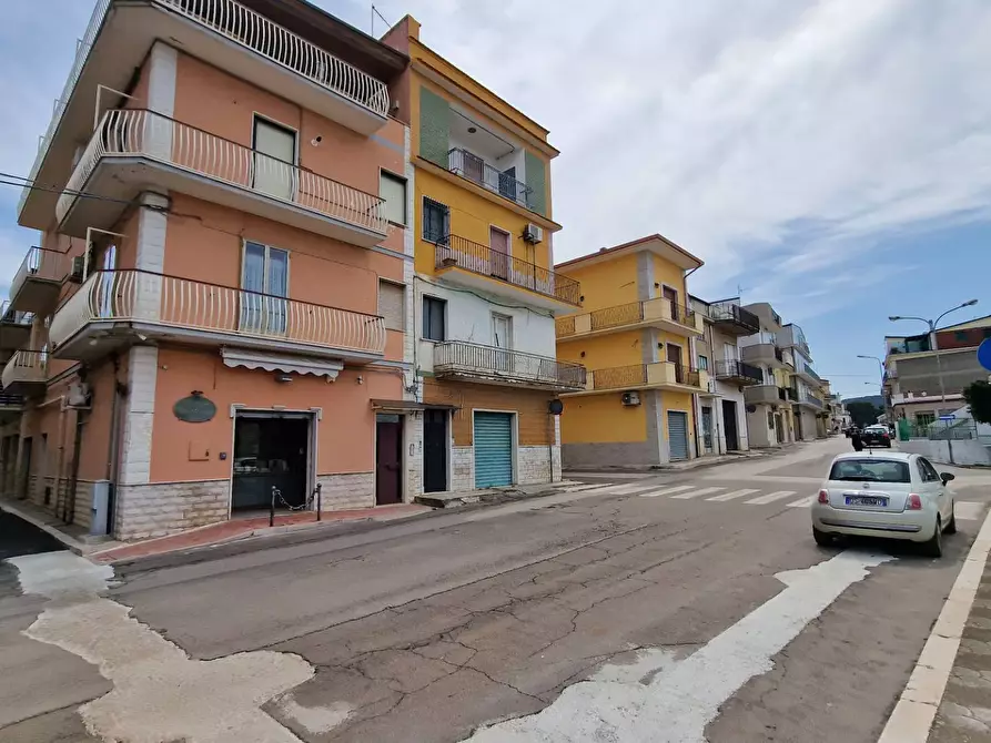 Immagine 3 di Appartamento in vendita  in Via Papa Giovanni XXIII 50 a Sannicandro Garganico