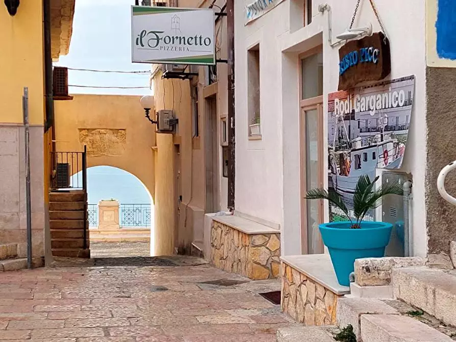 Immagine 4 di Appartamento in vendita  in Via Imbriani 2 a Rodi Garganico