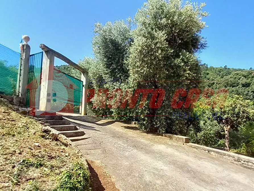 Immagine 4 di Palazzo in vendita  in Loc. SAN NICOLA snc a Vico Del Gargano