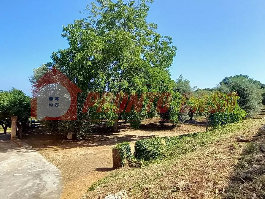 Immagine 5 di Palazzo in vendita  in Loc. SAN NICOLA snc a Vico Del Gargano