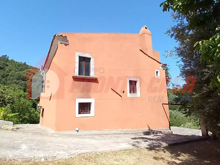 Immagine 8 di Palazzo in vendita  in Loc. SAN NICOLA snc a Vico Del Gargano