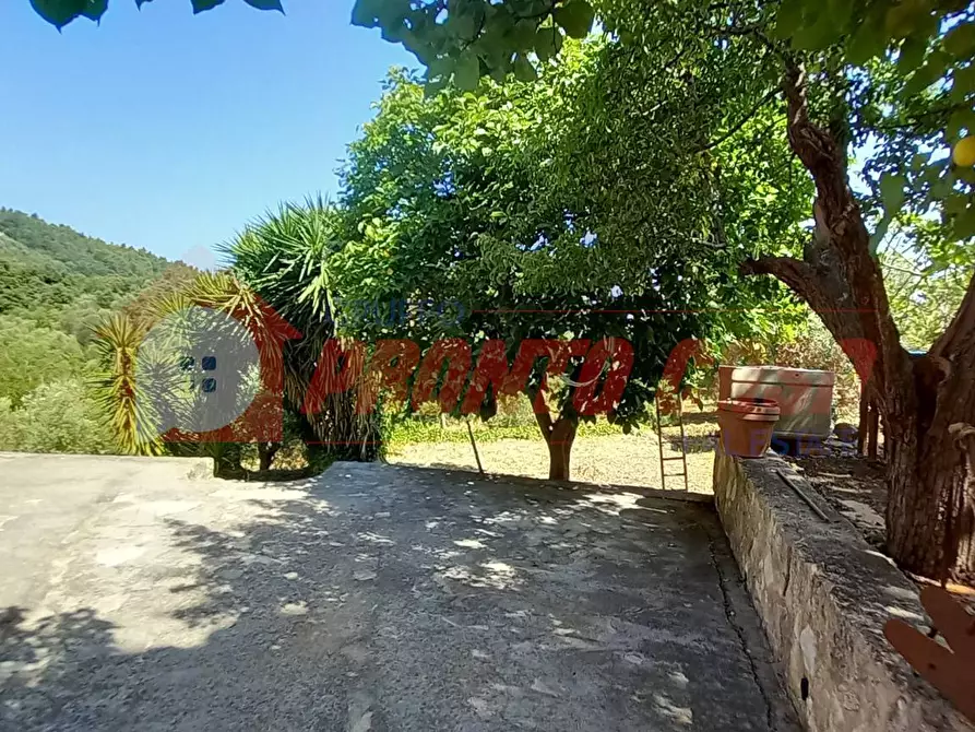 Immagine 11 di Palazzo in vendita  in Loc. SAN NICOLA snc a Vico Del Gargano