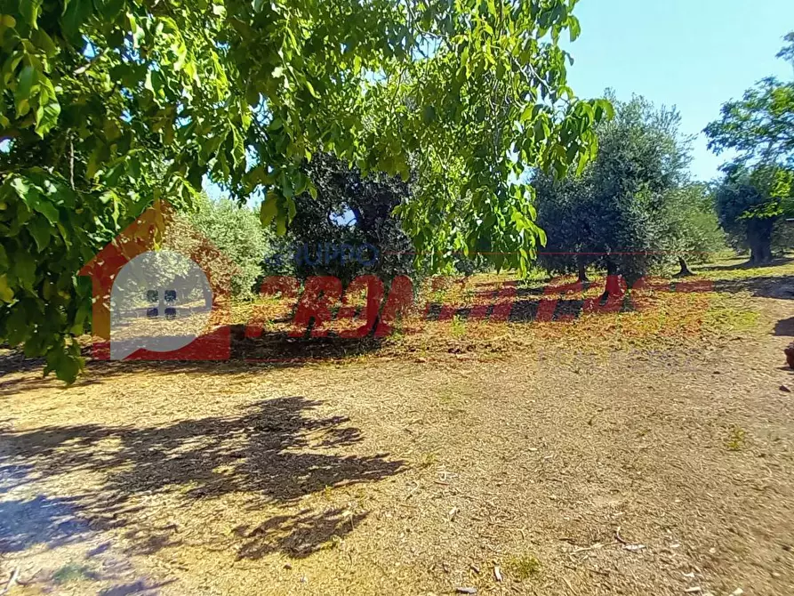 Immagine 27 di Palazzo in vendita  in Loc. SAN NICOLA snc a Vico Del Gargano