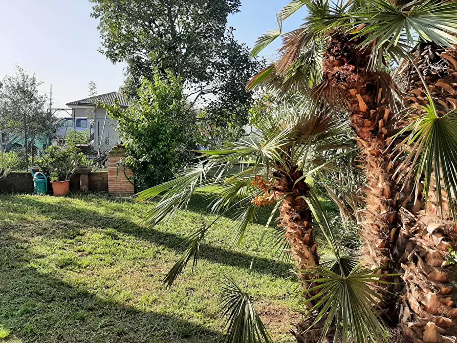 Immagine 55 di Casa semindipendente in vendita  in Carignano a Fano