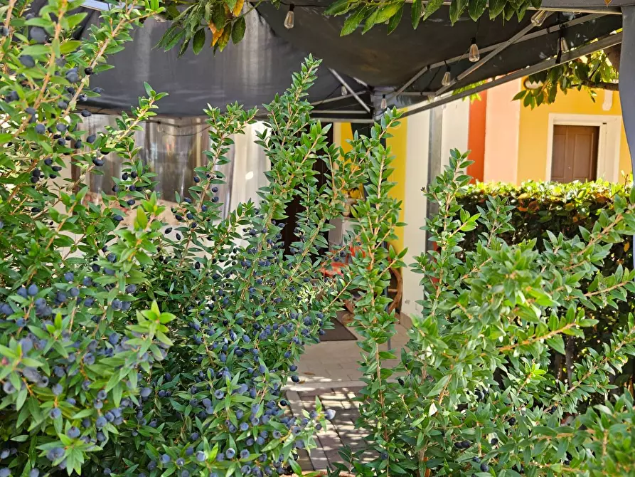 Immagine 31 di Villetta a schiera in vendita  in Via Dante Alighieri a Cartoceto