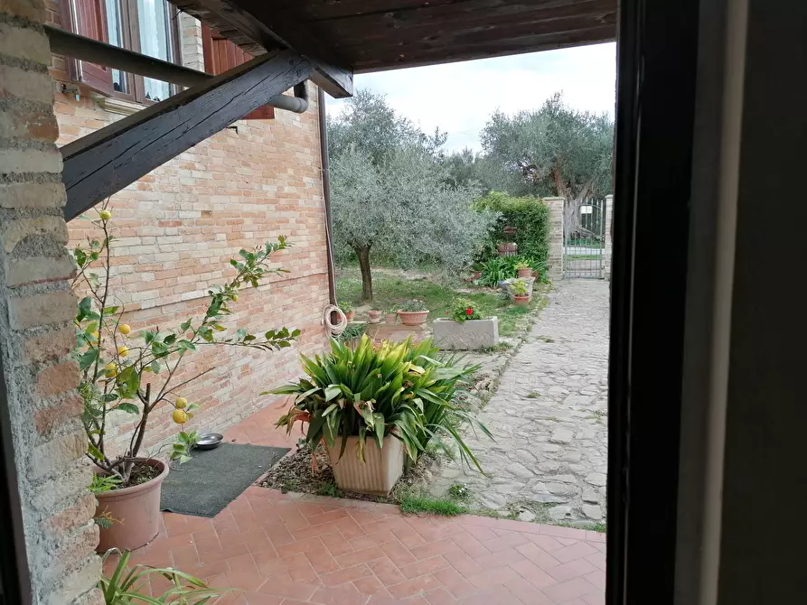 Immagine 4 di Rustico / casale in vendita  in S. Anna a Cartoceto