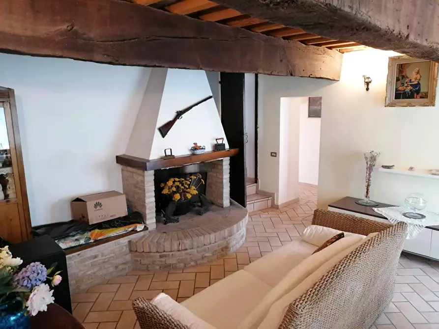 Immagine 13 di Rustico / casale in vendita  in S. Anna a Cartoceto