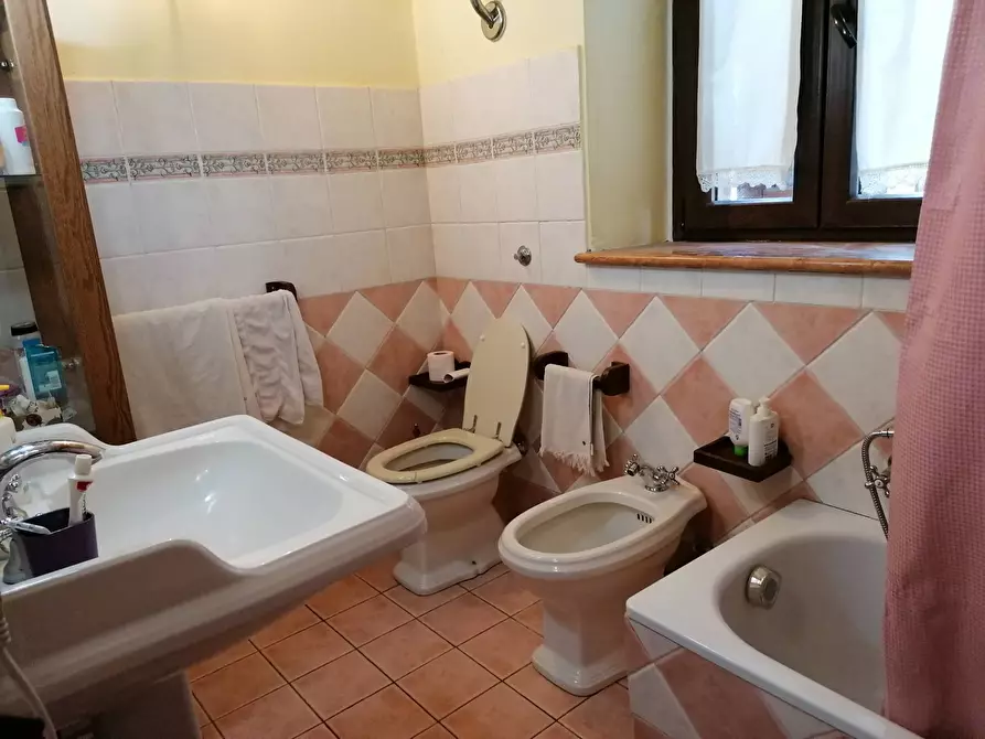 Immagine 19 di Rustico / casale in vendita  in S. Anna a Cartoceto