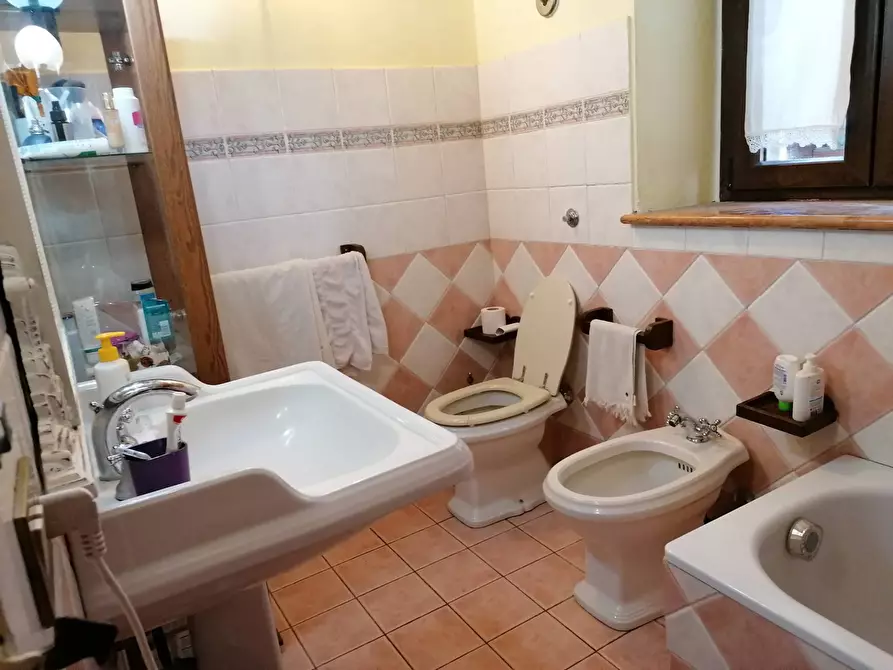Immagine 20 di Rustico / casale in vendita  in S. Anna a Cartoceto