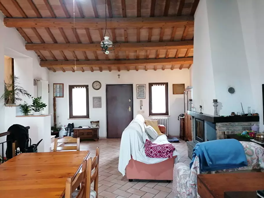 Immagine 28 di Rustico / casale in vendita  in S. Anna a Cartoceto