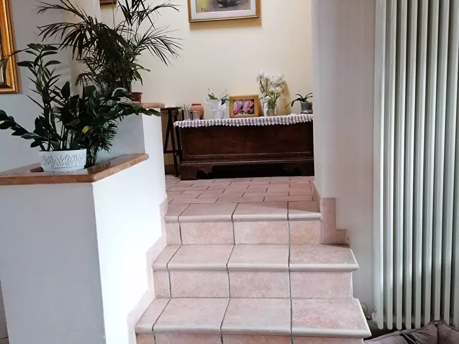 Immagine 30 di Rustico / casale in vendita  in S. Anna a Cartoceto