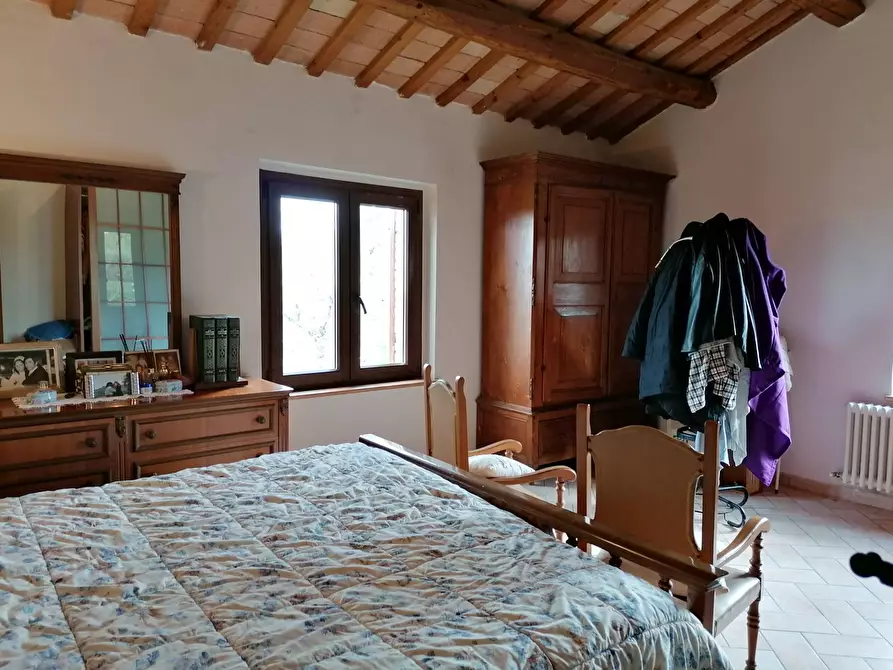 Immagine 32 di Rustico / casale in vendita  in S. Anna a Cartoceto