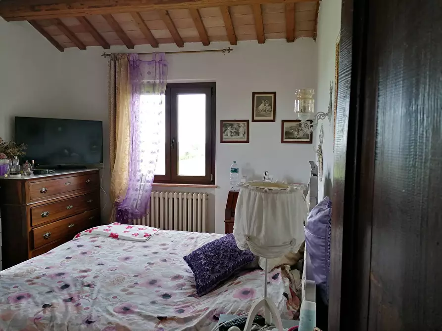 Immagine 36 di Rustico / casale in vendita  in S. Anna a Cartoceto