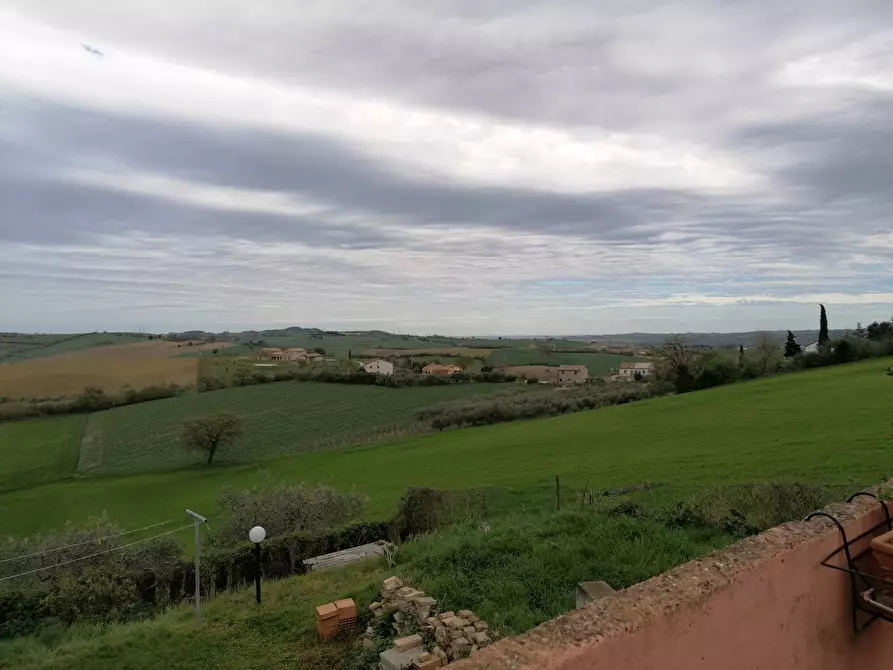 Immagine 40 di Rustico / casale in vendita  in S. Anna a Cartoceto