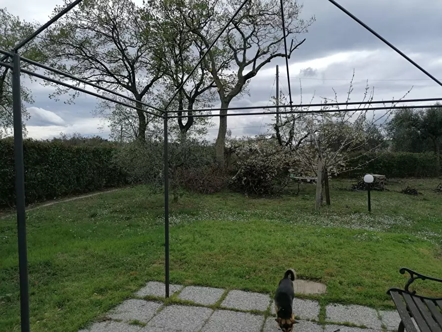 Immagine 41 di Rustico / casale in vendita  in S. Anna a Cartoceto