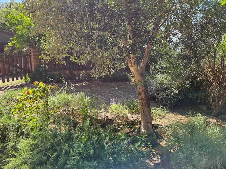 Immagine 2 di Rustico / casale in vendita  in via Salvamaggio 1 a Colli Al Metauro