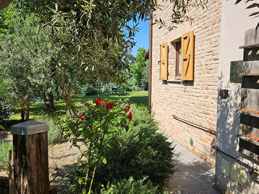 Immagine 4 di Rustico / casale in vendita  in via Salvamaggio 1 a Colli Al Metauro