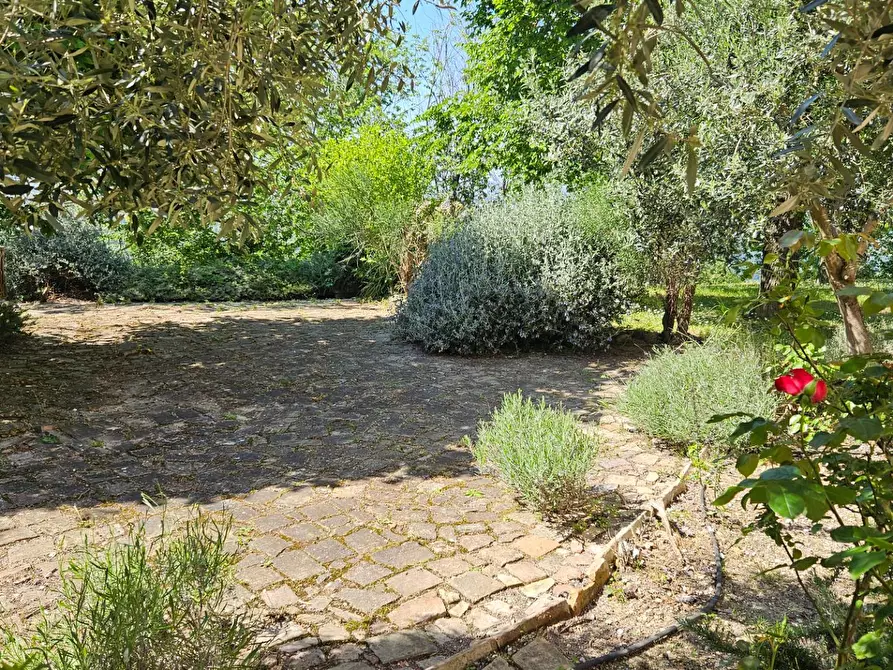 Immagine 7 di Rustico / casale in vendita  in via Salvamaggio 1 a Colli Al Metauro