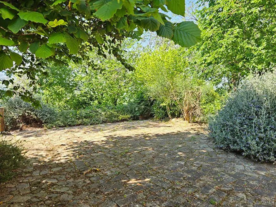 Immagine 9 di Rustico / casale in vendita  in via Salvamaggio 1 a Colli Al Metauro
