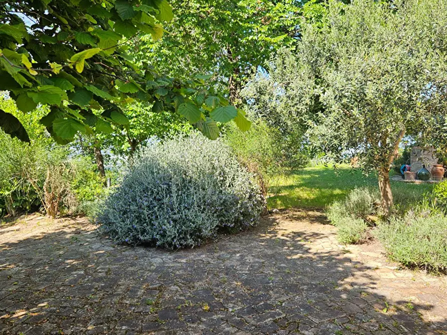 Immagine 10 di Rustico / casale in vendita  in via Salvamaggio 1 a Colli Al Metauro