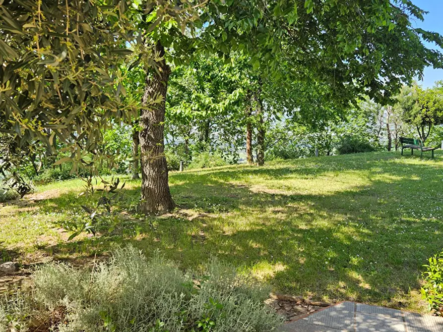 Immagine 11 di Rustico / casale in vendita  in via Salvamaggio 1 a Colli Al Metauro