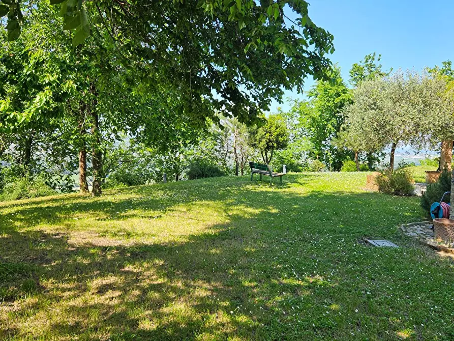 Immagine 13 di Rustico / casale in vendita  in via Salvamaggio 1 a Colli Al Metauro