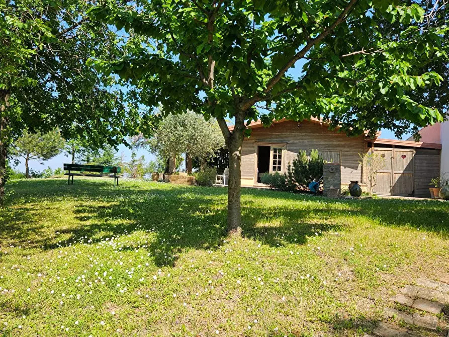 Immagine 16 di Rustico / casale in vendita  in via Salvamaggio 1 a Colli Al Metauro