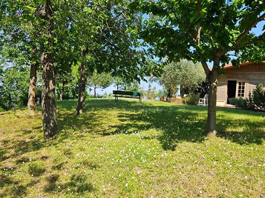 Immagine 17 di Rustico / casale in vendita  in via Salvamaggio 1 a Colli Al Metauro