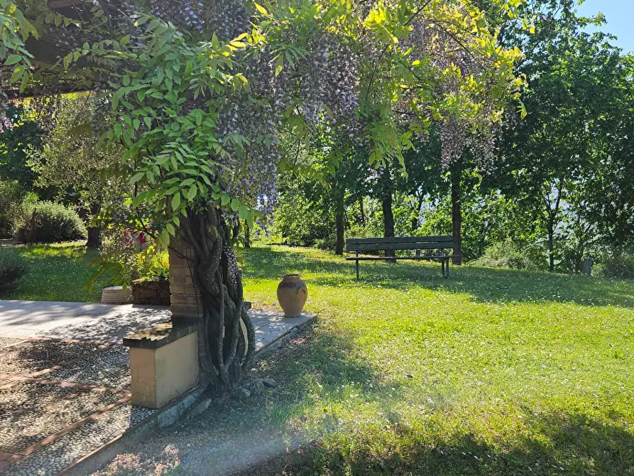 Immagine 28 di Rustico / casale in vendita  in via Salvamaggio 1 a Colli Al Metauro